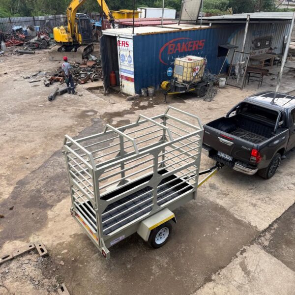 IMG 20260219 WA0054